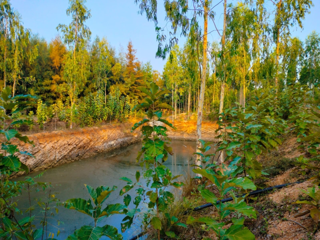 Vision forest properties of trichy