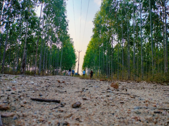 vision forest properties trichy