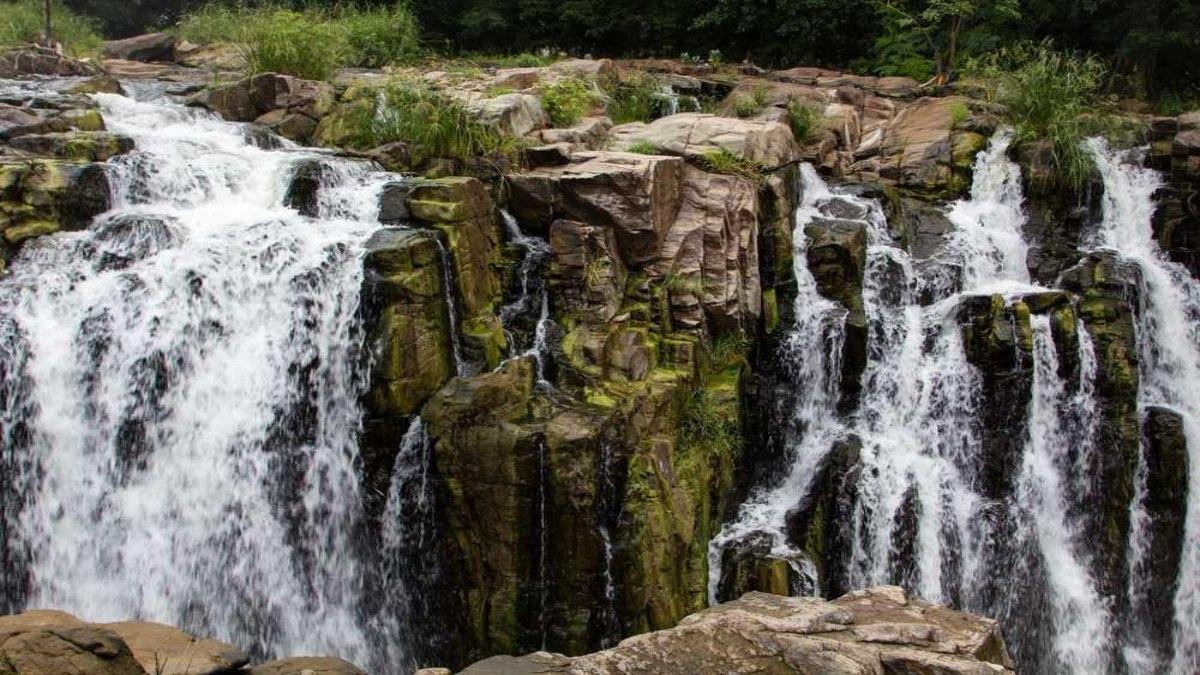 Puliyancholai – A Hidden Forest Paradise in Tamil Nadu  